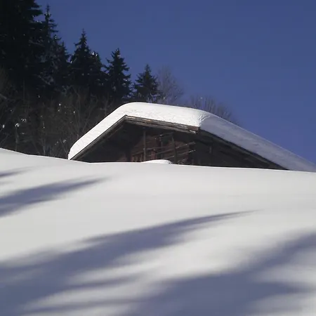 Lägenhet Apart Alpenrast Fuegenberg